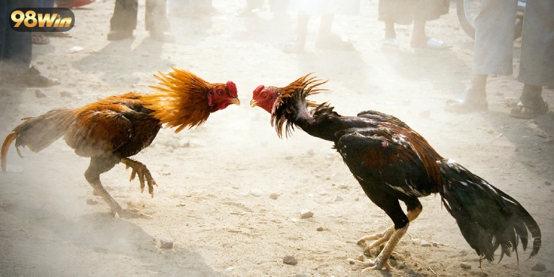 Mẹo hay để bạn tăng tỷ lệ chiến thắng mỗi trận